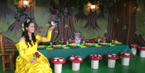 fairy princess birthday party venue Auckland mermaid Moana frozen Elsa pirate children