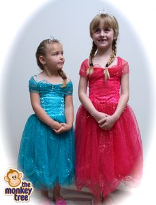 princess dress sparkle party