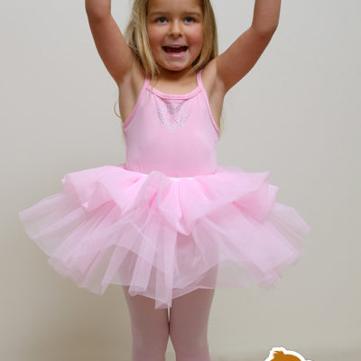 ballerina tutu fluffy dress up