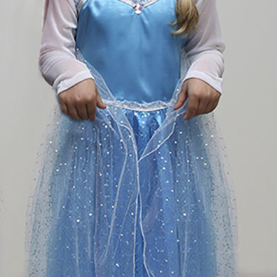 elsa dress up frozen party dress