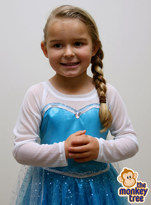 dress up elsa dress frozen birthday party