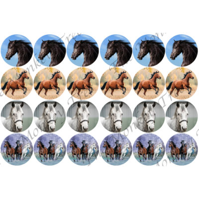 horse edible cupcake image fondant