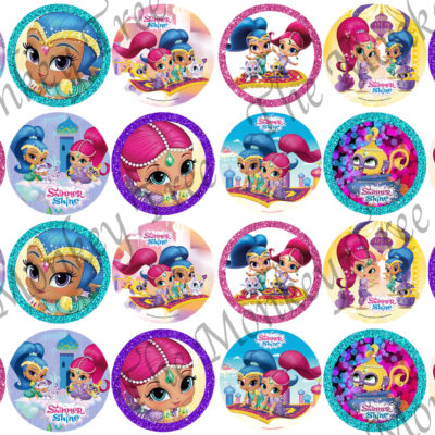 shimmer and shine edible cake topper photo birthday cake cupcake