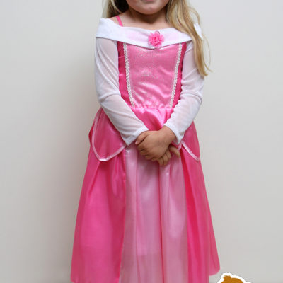 princess aurora sleeping beauty dress party birthday Christmas