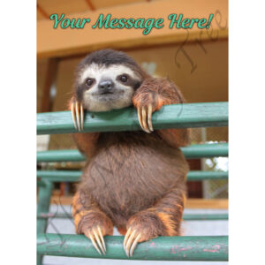 baby sloth edible cake image topper fondant birthday