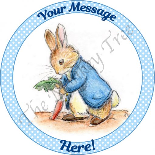 Peter rabbit Beatrix potter birthday cake fondant edible topper