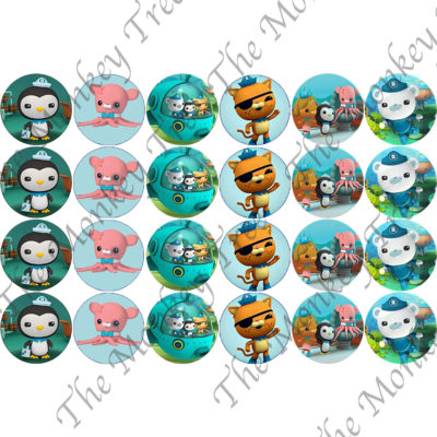 Octonauts edible cake image topper birthday cupcake